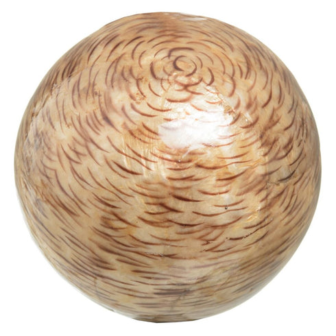 Bolas CAPIZ Decoración Beige Marrón 10 x 10 x 10 cm (8 Unidades)